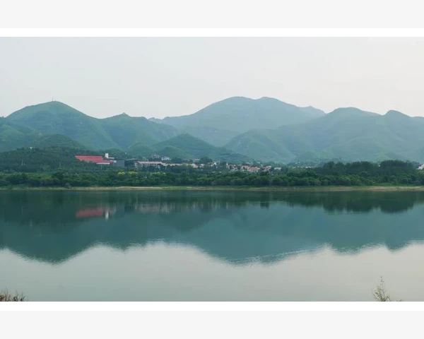 肚子撑得胃疼？试试这些中医方法缓解！
